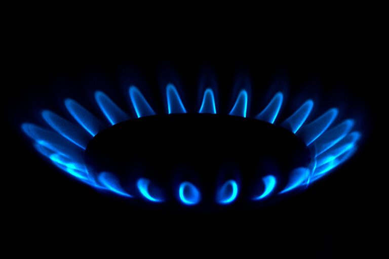 Mehr über den Artikel erfahren News – Deutschland kann auf russisches Gas verzichten